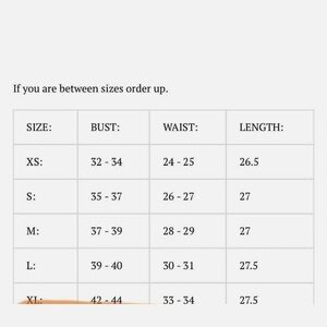 Vixen by Micheline Pitt Dresses Ben Cooper Haunted Honey Halloween